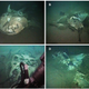 Illustration for article titled Deep Sea Probe Accidentally Uncovers Unique Graveyard Ecology